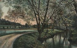 Road Through Forest Park Postcard