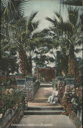 Entrance to a California Bungalow Postcard