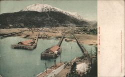 Skagway, Alaska, Harbor View Postcard