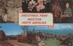 Greetings from Western North Carolina Postcard