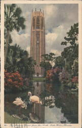 The Singing Tower from the North, Lake Wales, Florida Postcard