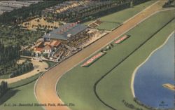 Hialeah Park Racetrack, Miami, Fla. Postcard