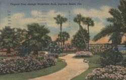 Tropical Trail through Waterfront Park, Daytona Beach, FL Postcard