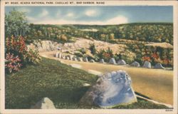 Mt. Road, Cadillac Mt., Acadia National Park Postcard
