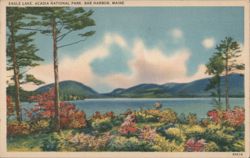 Eagle Lake, Acadia National Park, Bar Harbor, Maine Postcard