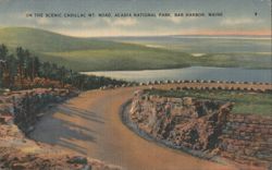 Scenic Cadillac Mt. Road, Acadia National Park Postcard