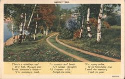 Memory Trail, Winding Road through Birch Trees Postcard