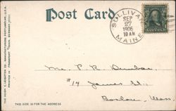 back