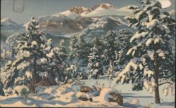 Longs Peak and Mt. Meeker in Winter Postcard