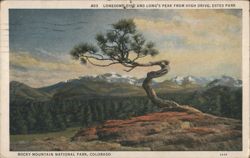 Lonesome Pine and Long's Peak from High Drive, Estes Park Postcard