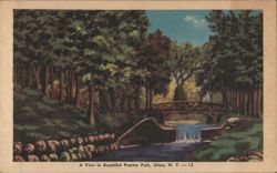 Footbridge in Proctor Park, Utica, NY Postcard