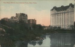 Stock #1091870 Thumbnail