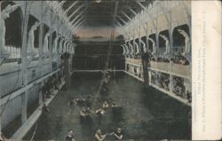 Great Swimming Pool, Steeplechase Park, Coney Island Postcard