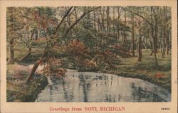 Wooded Stream, Novi, Michigan Postcard