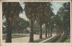 Palms, St. Charles Avenue, New Orleans, La. Postcard