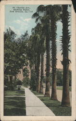 St. Charles Ave., showing Palms, New Orleans, LA Postcard