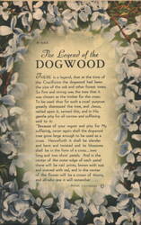 The Legend of the Dogwood Postcard