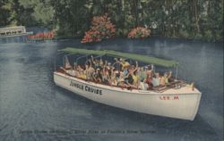 Jungle Cruise on Tropical Silver River at Florida's Silver Springs Postcard