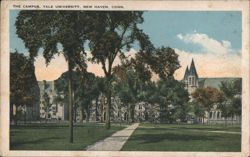 The Campus, Yale University, New Haven, CONN. Postcard