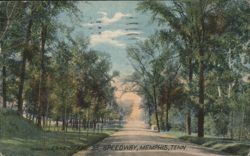 Scene on Speedway, Memphis, TN Postcard