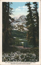 Mt. Rainier from Spray Park, Rainier National Park Postcard