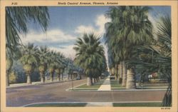 North Central Avenue, Phoenix, Arizona Postcard