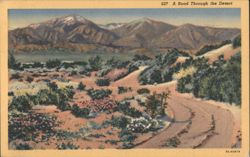 A Road Through the Desert Postcard