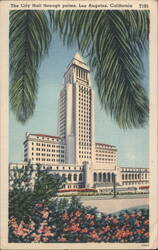 The City Hall through palms, Los Angeles, California Postcard