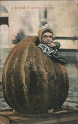 A Specimen of California Pumpkins Postcard