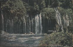 Mossbrae Falls, Shasta Springs, California Postcard