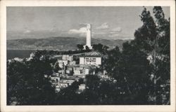Coit Tower on Telegraph Hill, San Francisco, California Postcard