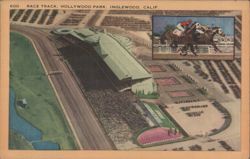 Race Track, Hollywood Park, Inglewood, Calif. Postcard