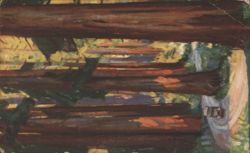 Redwood Empire Tour, Southern Pacific Lines Postcard