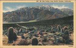 Mt. San Jacinto from Devil's Garden, California Postcard
