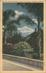 The Land of Sunshine, Fruits and Flowers, Southern California Postcard