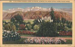 California Garden Scene, Sierra Madre Range Postcard