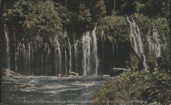 Mossbrae Falls, Shasta Springs, CA Postcard
