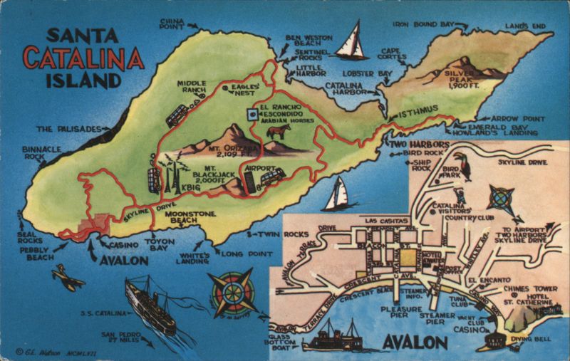 Illustrated Map of Santa Catalina Island California