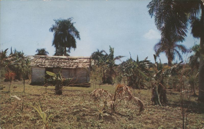 Typical Country Scene, Dominican Republic Caribbean Islands