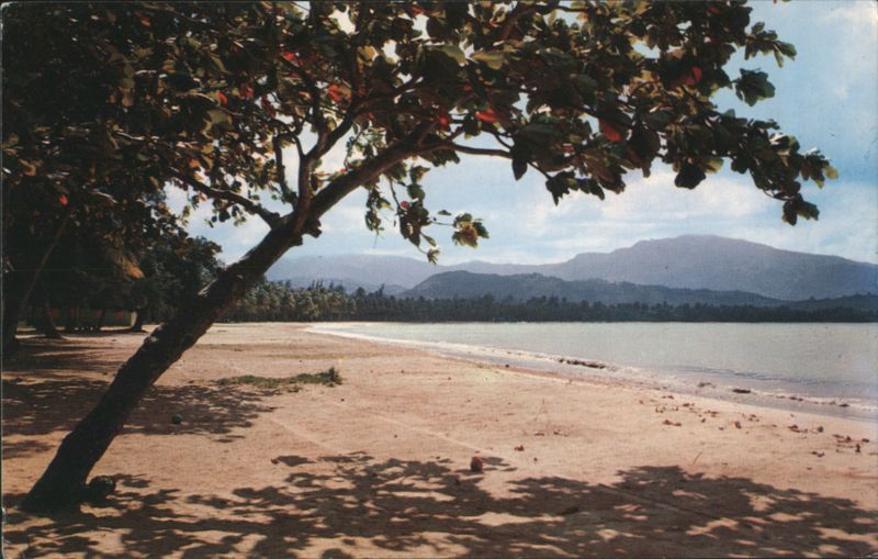 Luquillo Beach and El Yunque Mountain, Puerto Rico