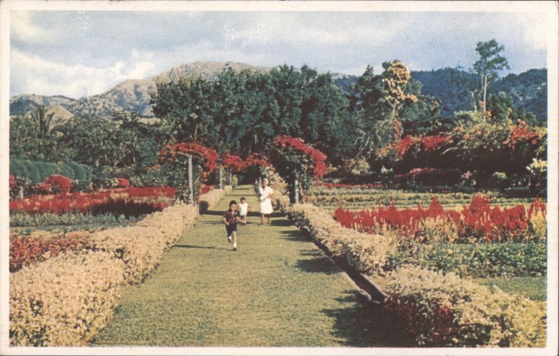 Hope Gardens, St. Andrew, Jamaica L. Van McClure