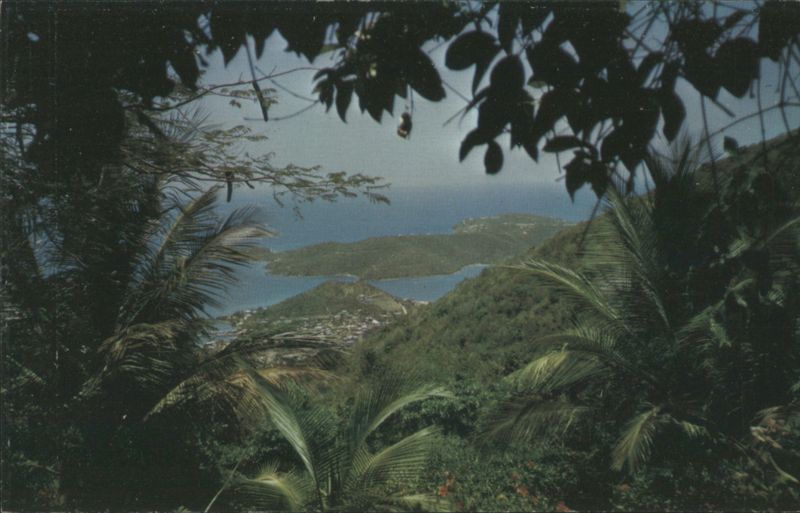 Vista from the Hills, St. Thomas, U.S. Virgin Islands