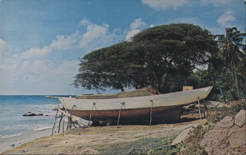 Boat Building at Paget Farm, Bequia Saint Vincent and the Grenadines