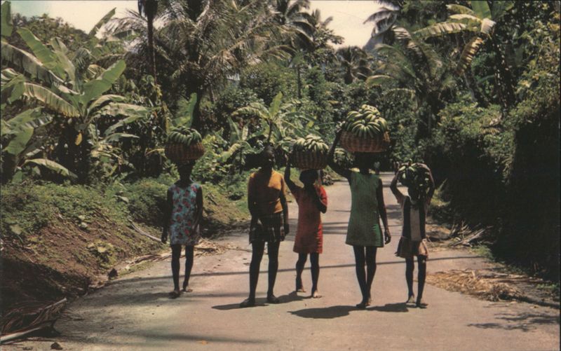 Heading Bananas to Buying Depot, St. Lucia Caribbean Islands
