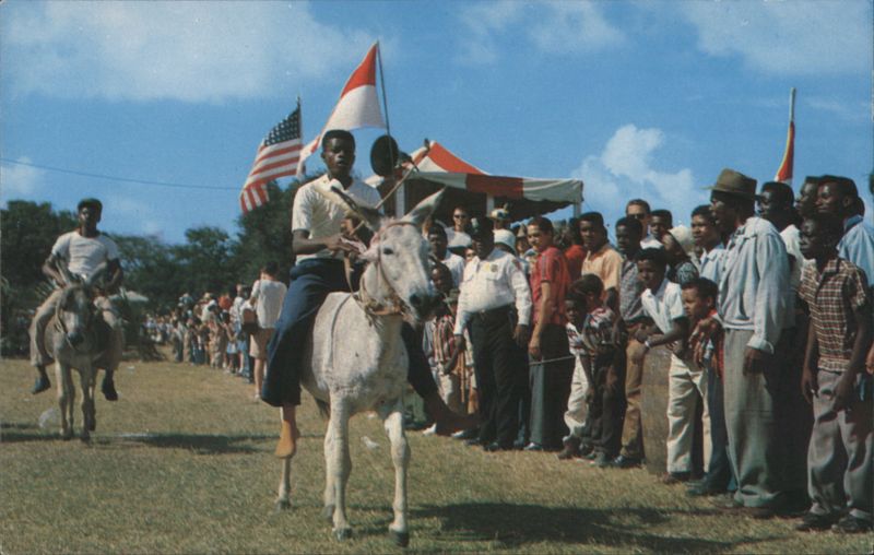 Annual Donkey Races, St. Croix, Virgin Islands U.S. Virgin Islands