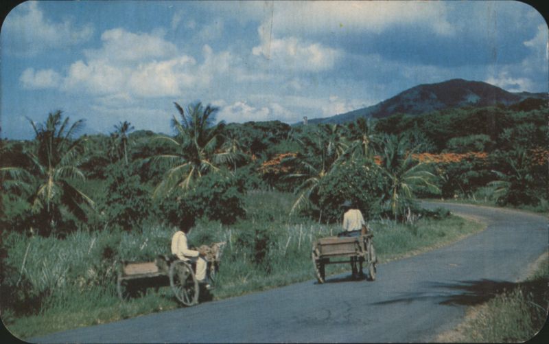 Native Carts on North Road, St. Croix Virgin Islands U.S. Virgin Islands