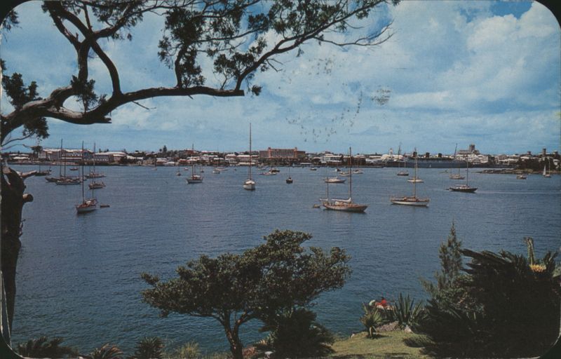 Hamilton Harbour from Paget Shore, Bermuda Gene Ray