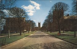 Boston College Campus, Newton, MA Postcard