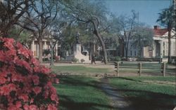 Oglethorpe Square, Savannah, GA Postcard