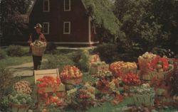 California Artificial Flower Co. Produce Display Postcard